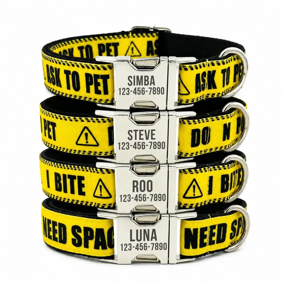 Personalized Pet Collar Warning Sign DO NOT PET I Need Space Custom Puppy Cat Name ID Tag Adjustable Basic Dog Collars