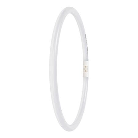 Ledvance Led-rør t5 pex fc 40/55 21,5w 840