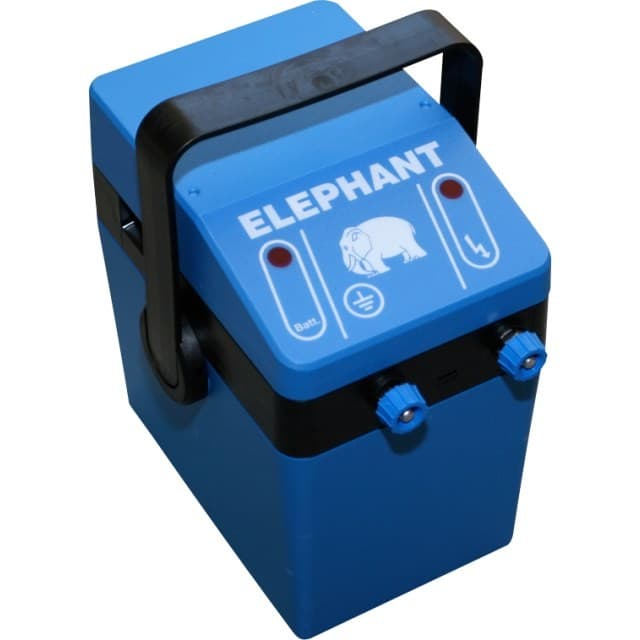 Elephant  p6 el-hegn
