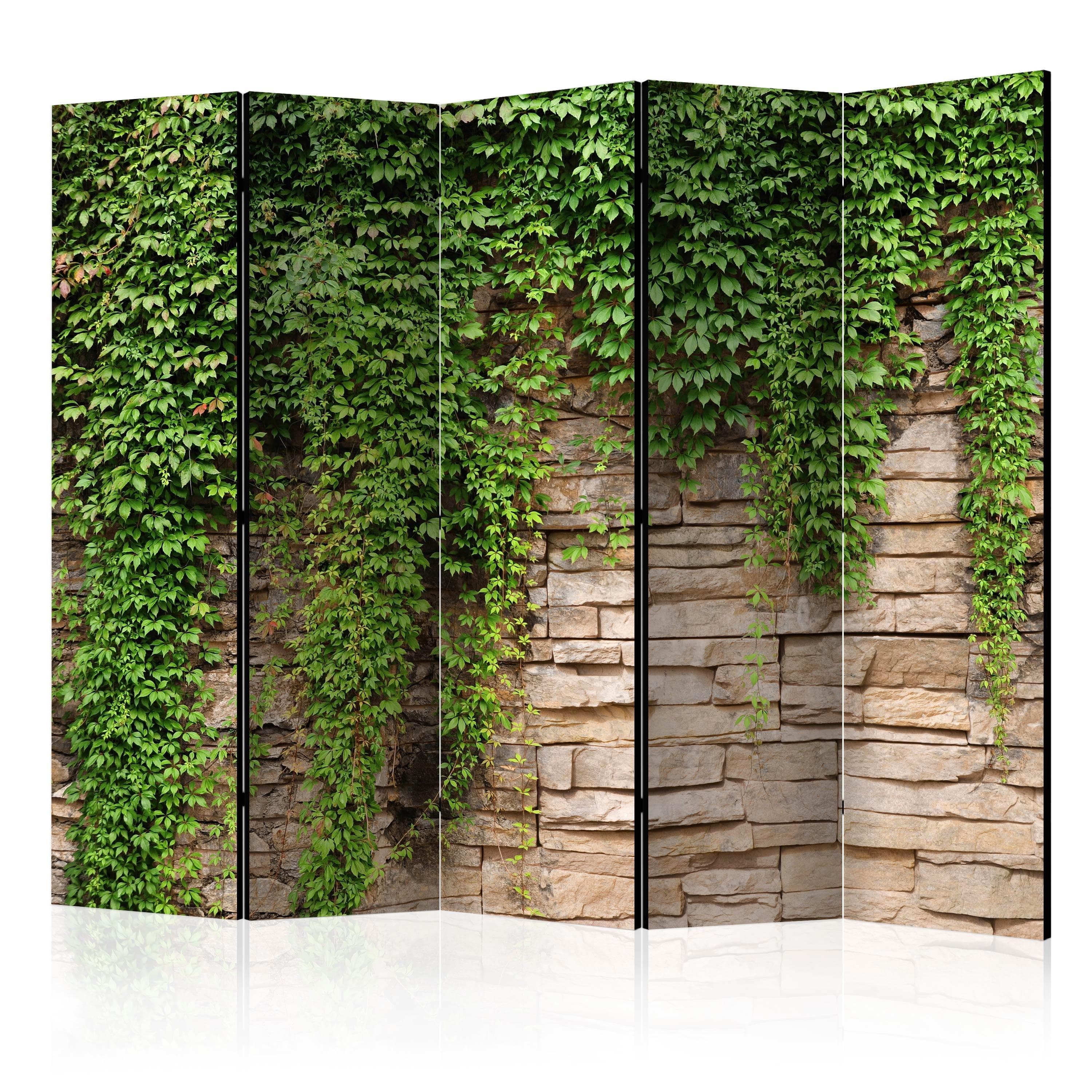 Skærmvæg Vedbendvæg II 225 x 172 cm - 5-panels rumdeler - 225 x 172 cm - Akustik