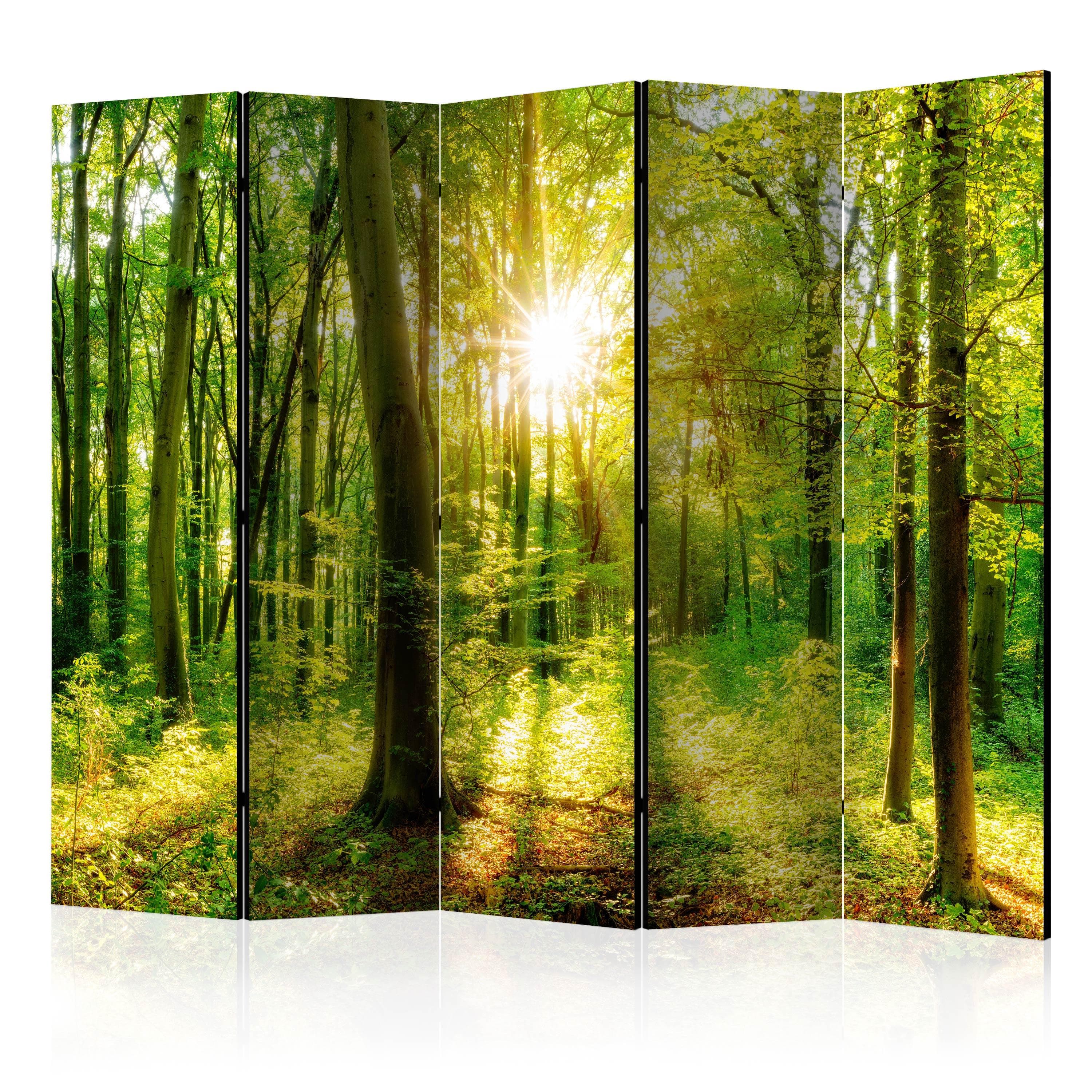 Skærmvæg Forest Rays II 225 x 172 cm - 5-panels rumdeler med skovmotiv - 225 x 172 cm - Akustik