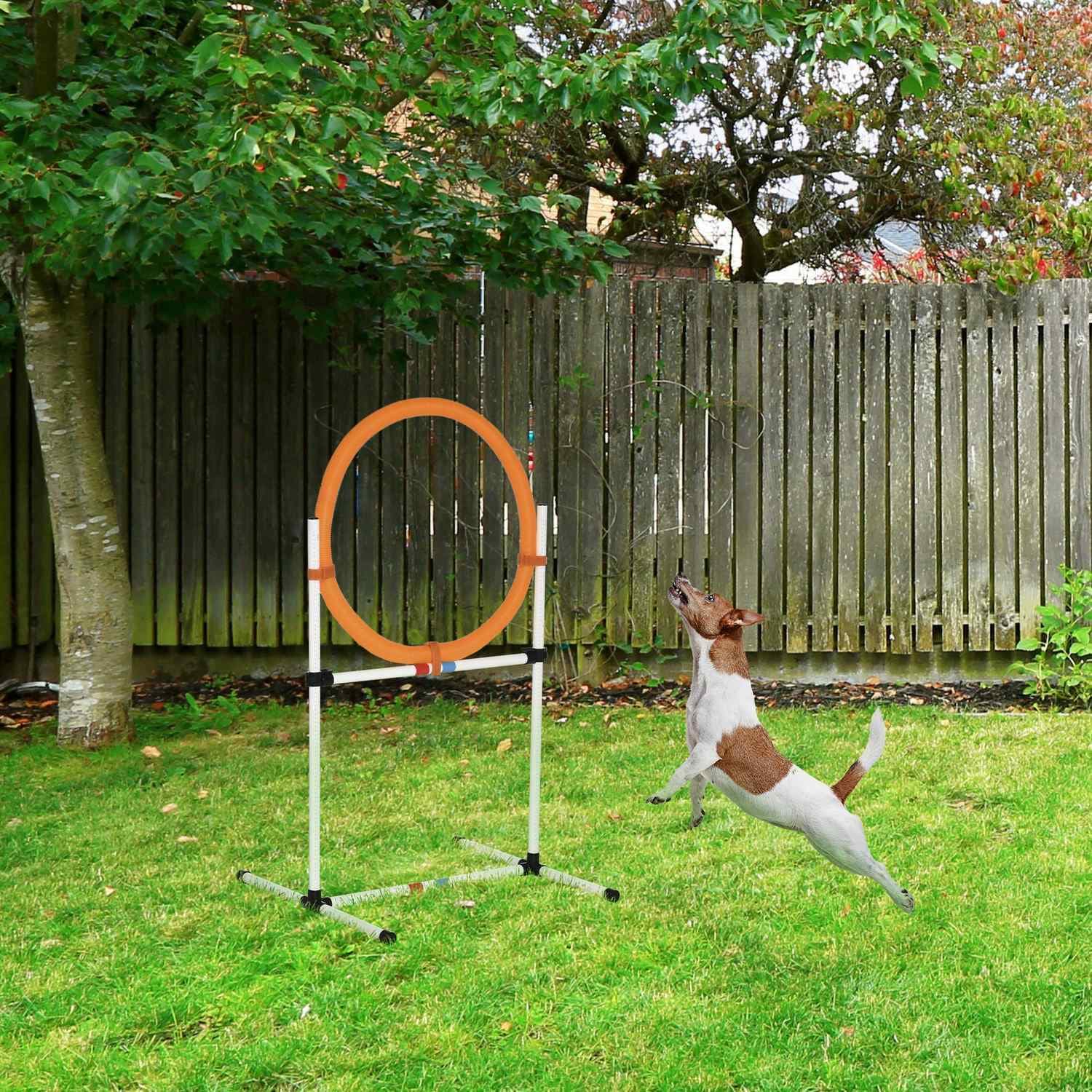 Bærbart hundetræningssæt Agility, hvid/orange view 2