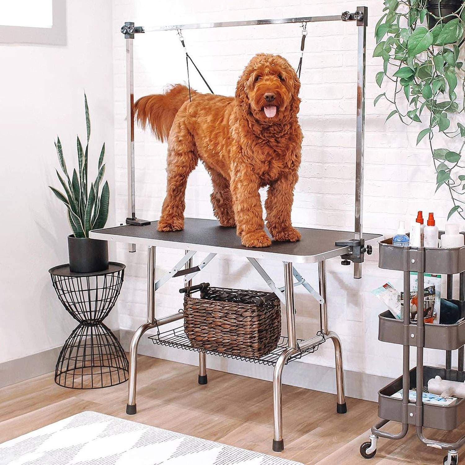 Justerbart plejebord til hunde, sort view 2