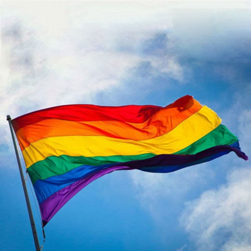 Pride flag / Regnebueflag view 2