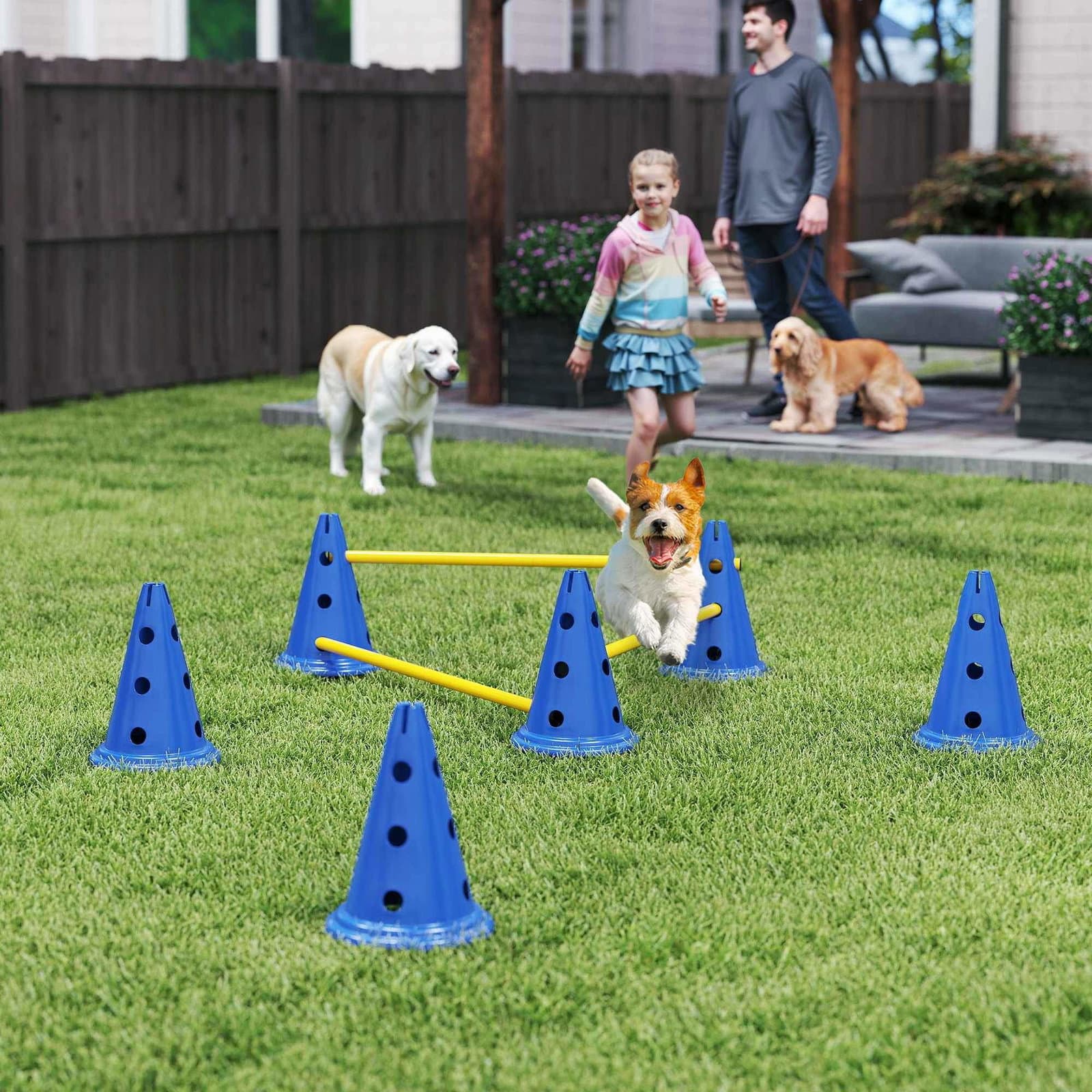 Agility-sæt til hunde – 3-delt træningssæt med justerbare hække view 2