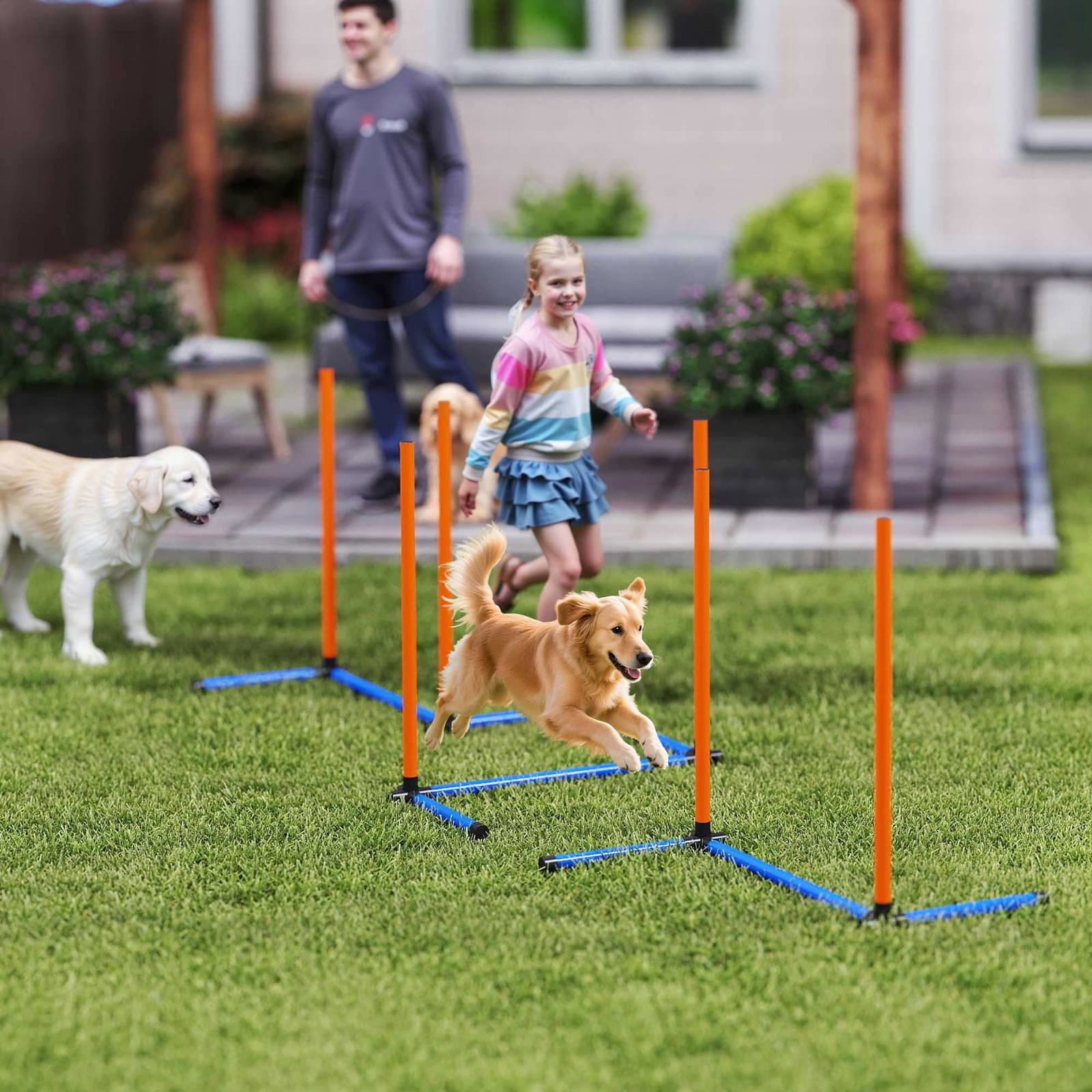 Agility-sæt til hunde – 3-delt træningssæt med slalomstave view 2