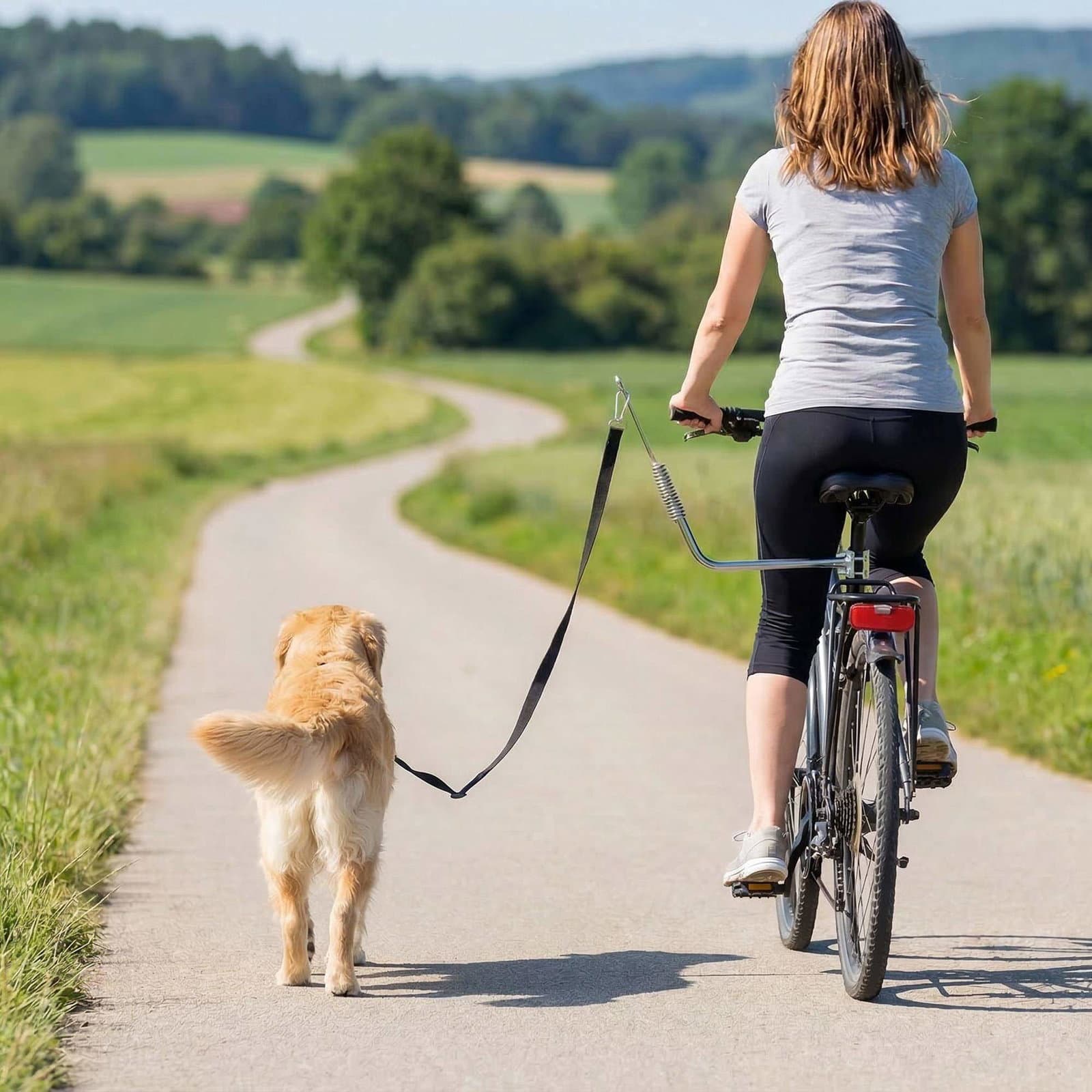 Hundesnor til cykel med støddæmpere, justerbar, hurtigudløser view 2