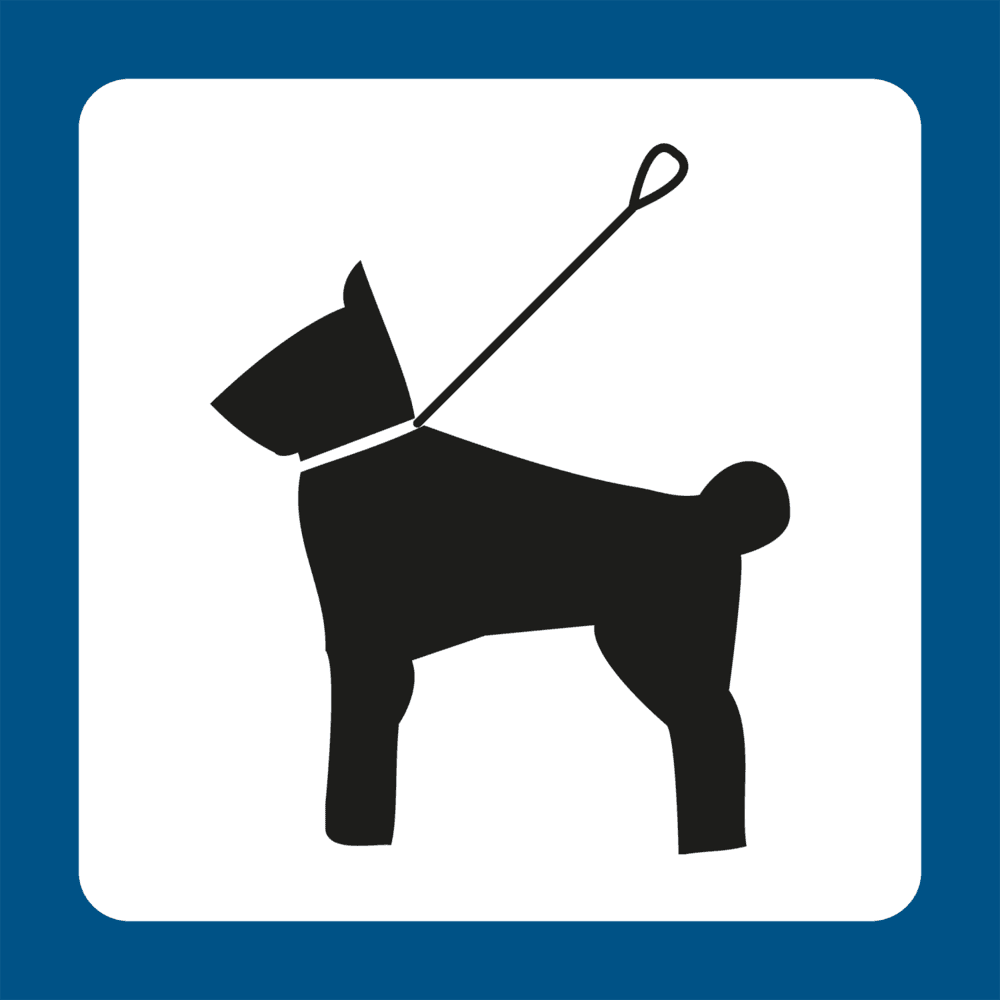 Hund i snor - Plast - 100 x 100 mm