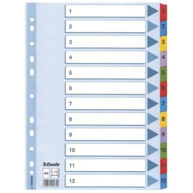 ESSELTE Register Esselte Mylar A4 1-12 flerfarve