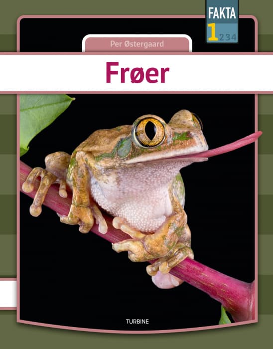 Frøer - Bog af Per Østergaard - Hardback
