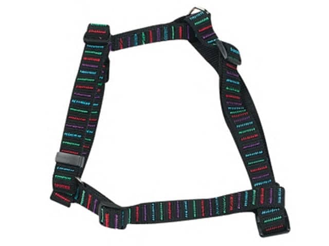 Black Stripes Hundesele
