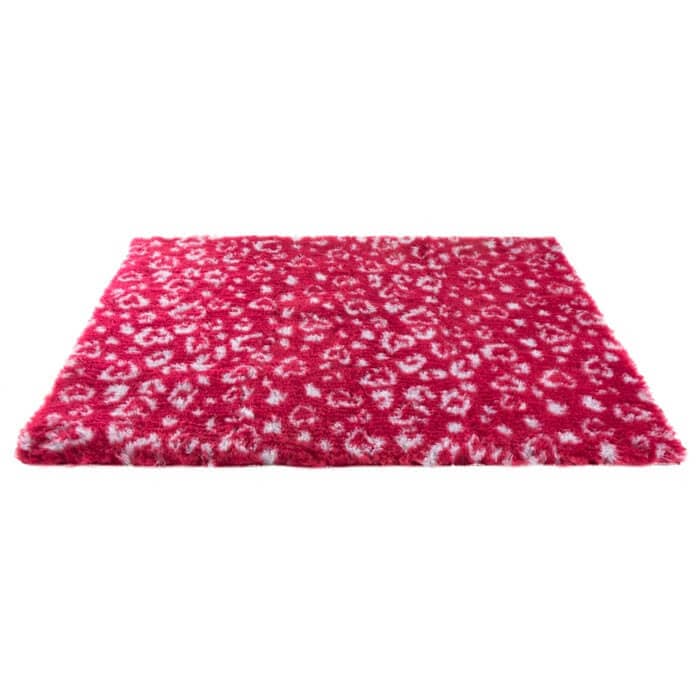 Vet bed Tæppe 75x100cm Leopard Rød