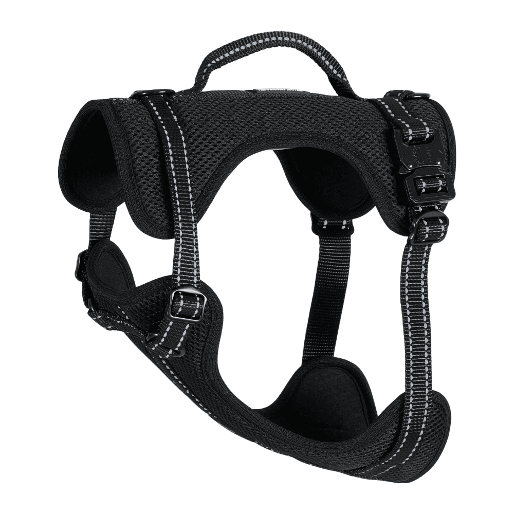 CATAGO FIR-Tech Hundesele 2.0
