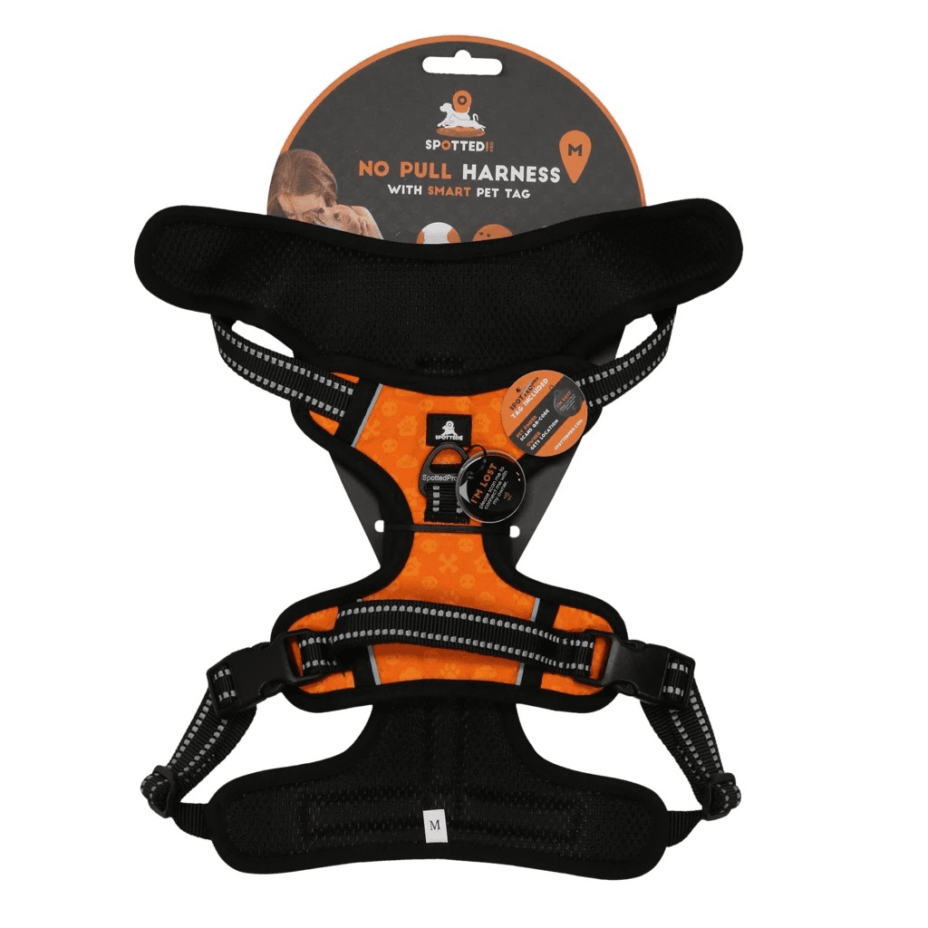 Spotted! Pro No Pull Hundesele  Orange