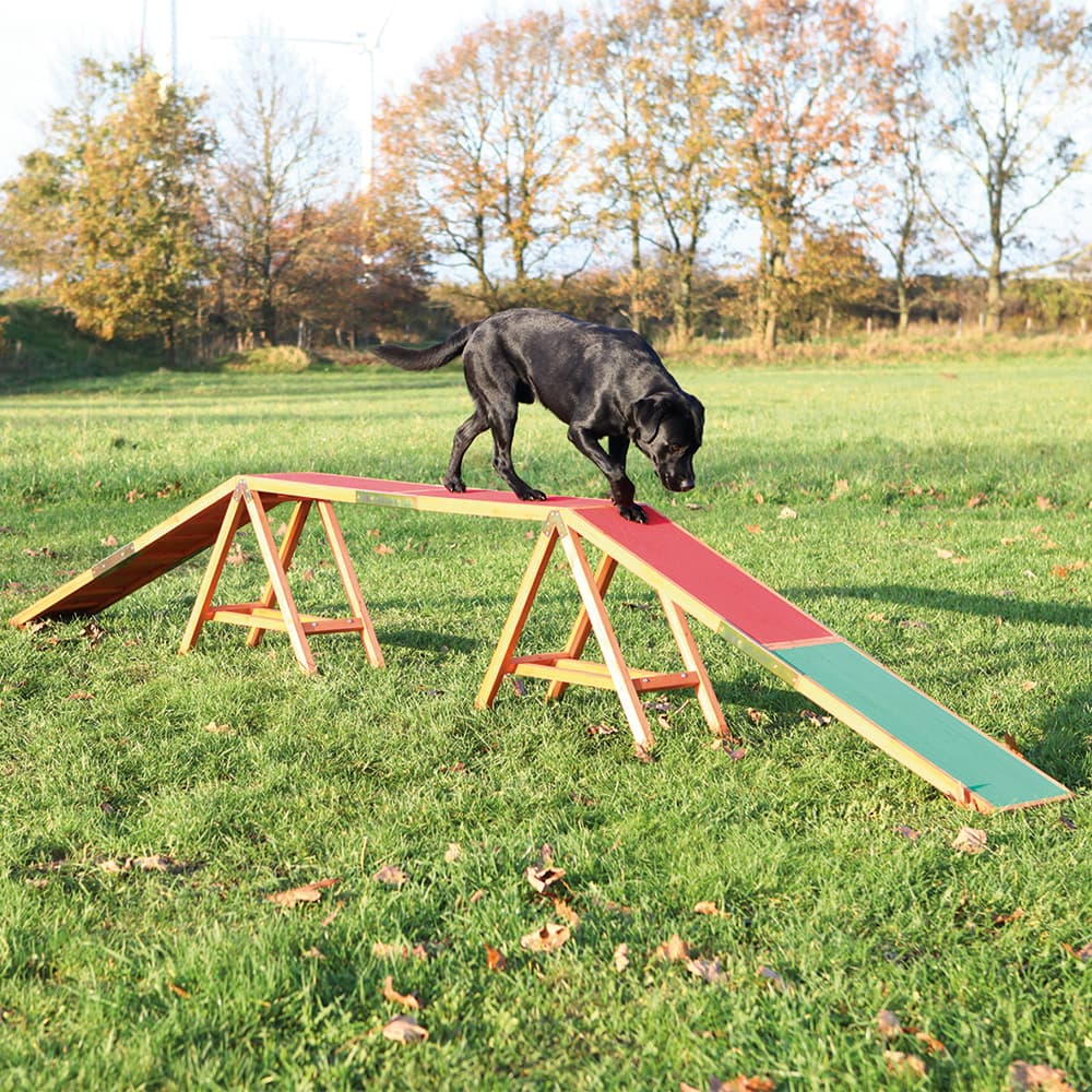 Trixie Dog Activity Agility bro - L 456 x B 30 x H 64 cm