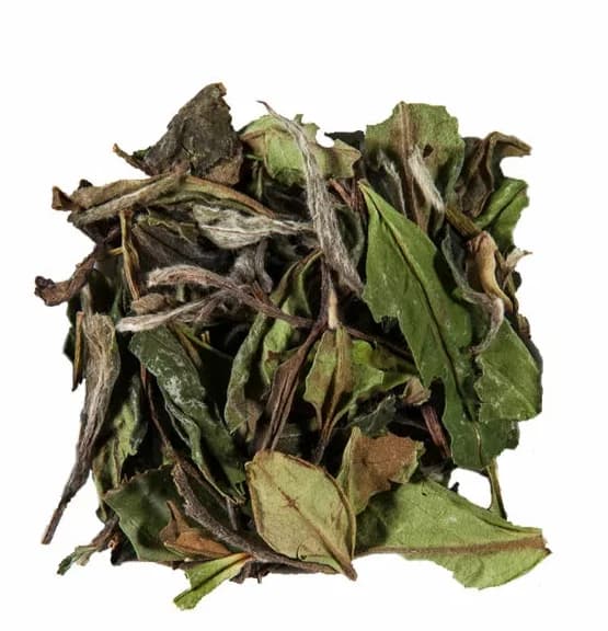 White Pai Mu Tan