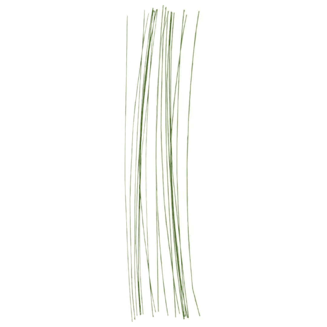 Blomsterstængel, diam: 0,6 mm, L: 30 cm, 20 stk
