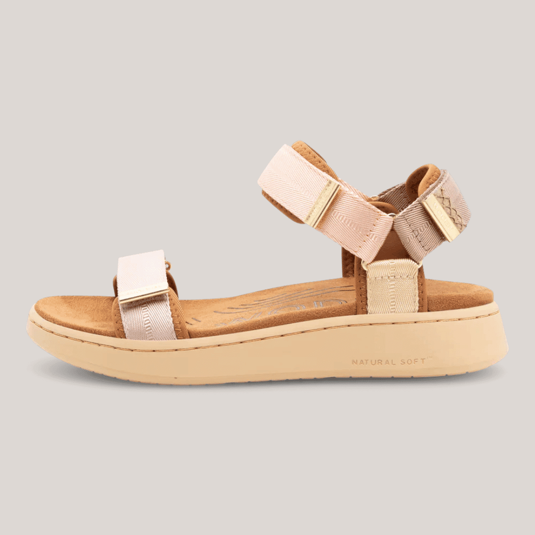 WL926 Line - Blush Multi Rose