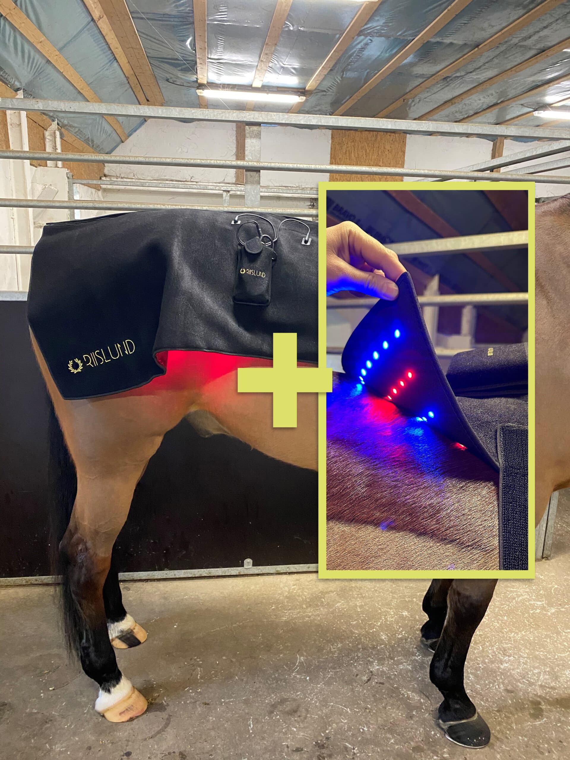 Riislund Light Therapy Deluxe + BLUE Pro
