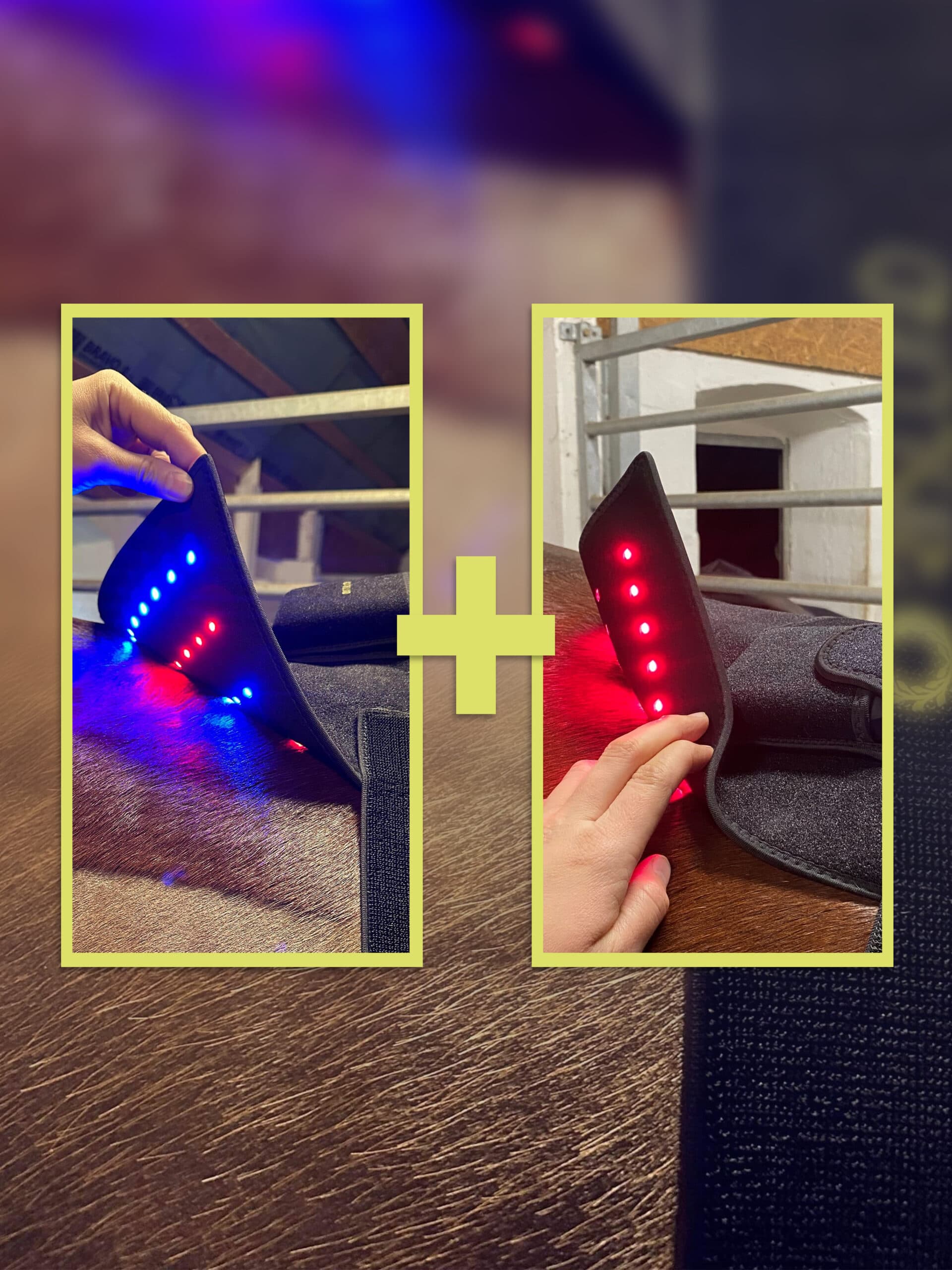 Riislund Light Therapy MIX Pro