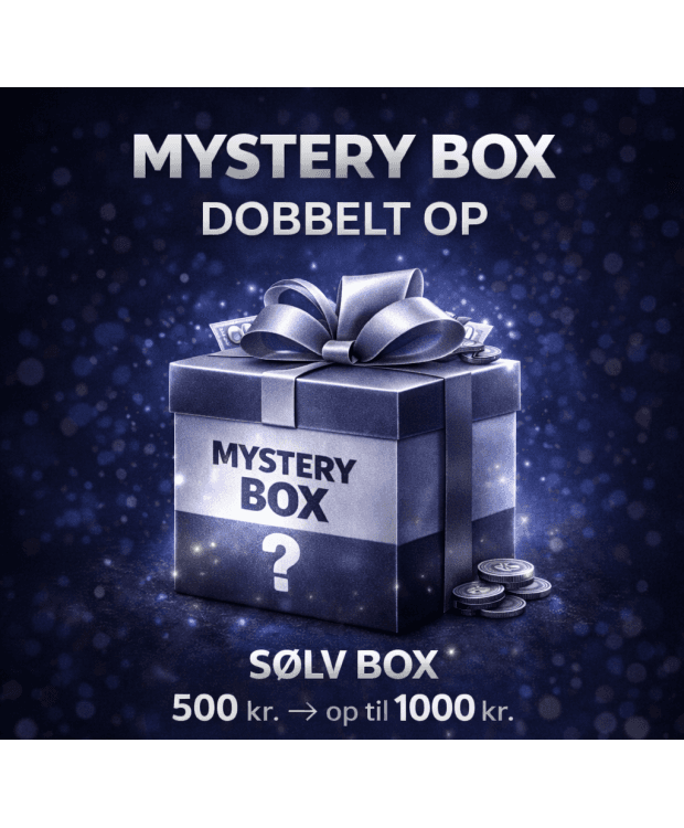 Mystery Box Herre | SØLV BOX