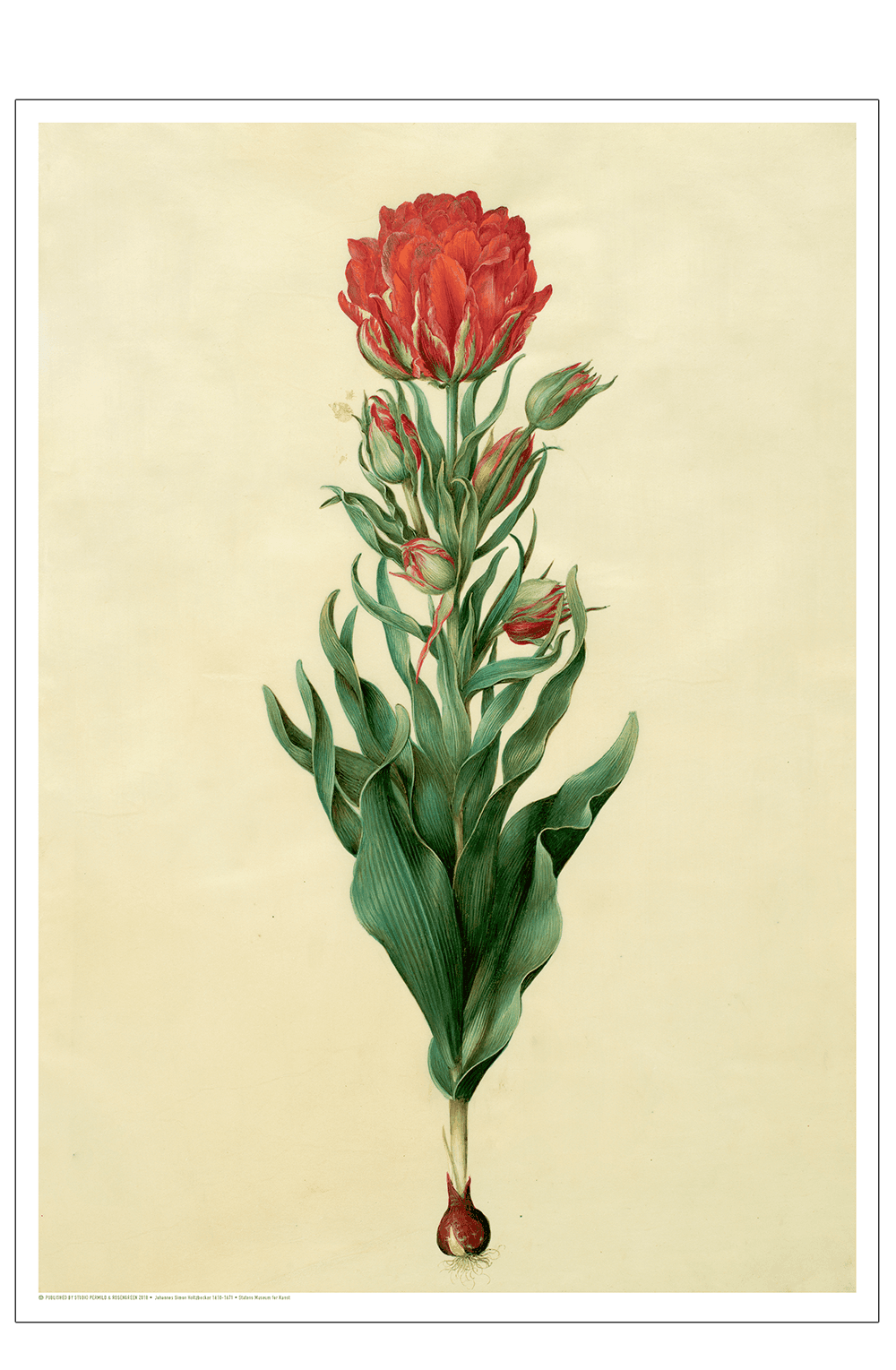 Holtzbecker, Blomstermotiv 5 A3 (29,7x42 cm)
