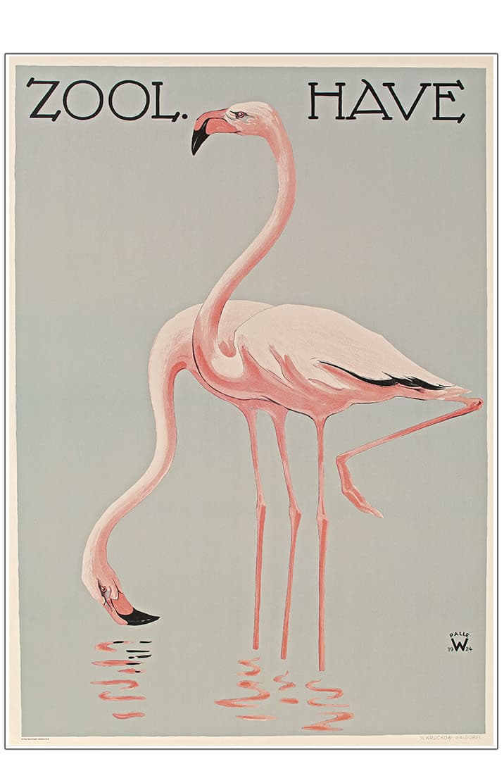 Z 2. - Zoo - A - Wennerwald, Flamingoer A3 (29,7x42 cm)