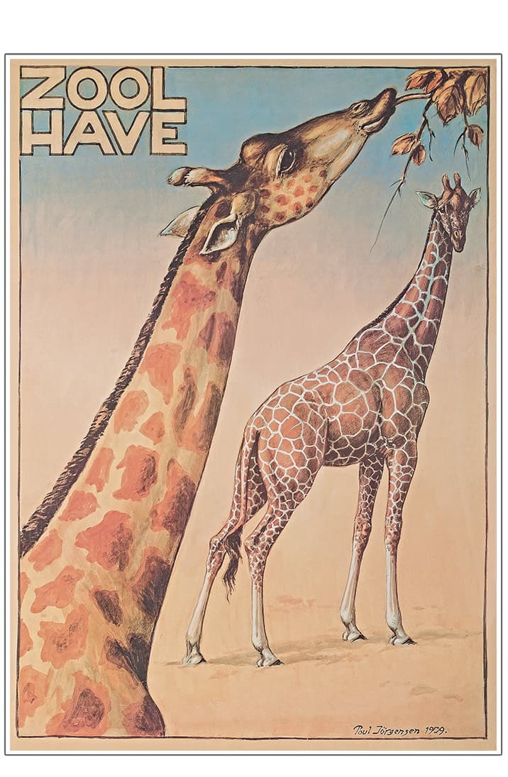 Z 8. - Zoo - Jørgensen, Giraf-1 A1 (59,4 x 84 cm.)