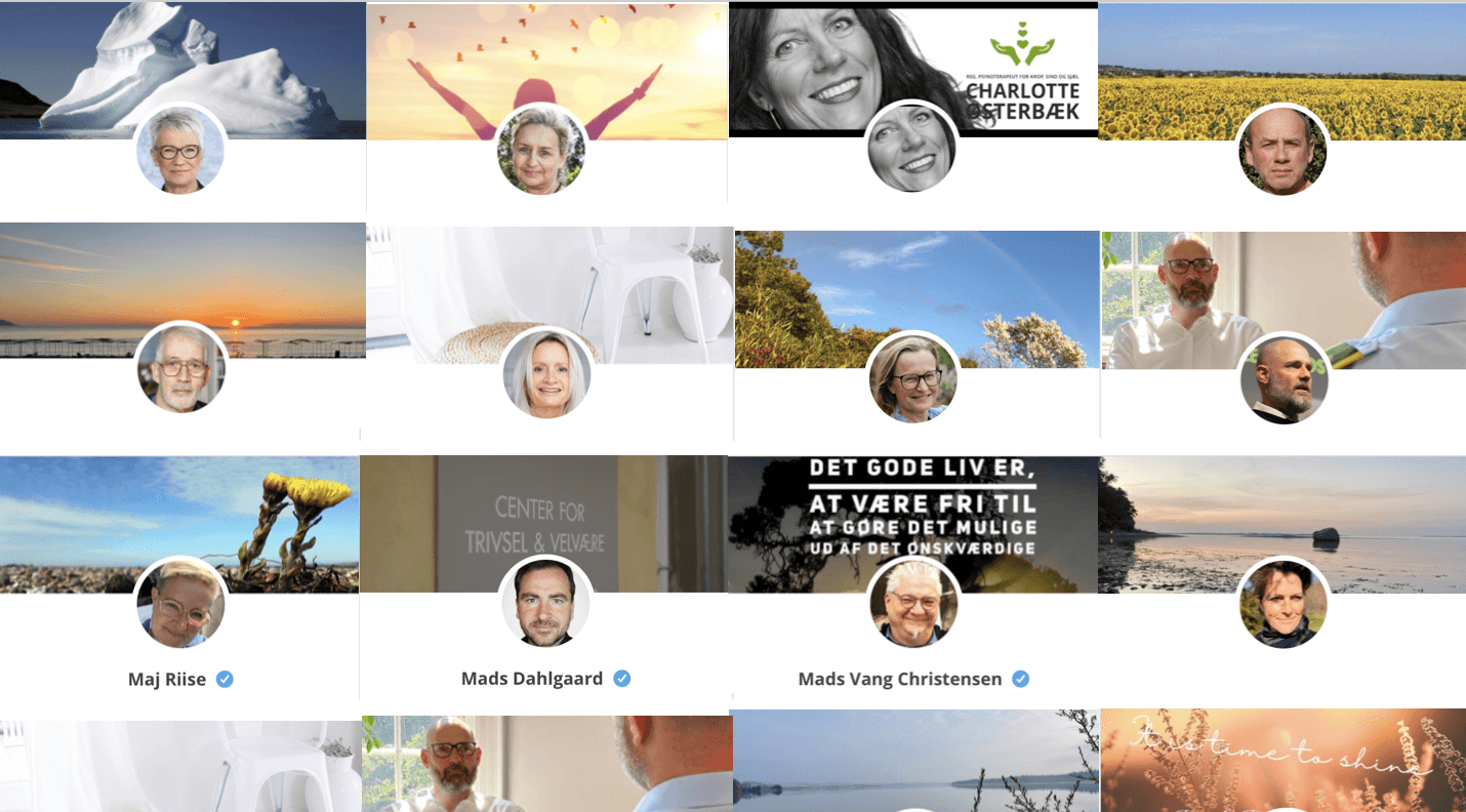 Profilvisning: Šrlig betaling