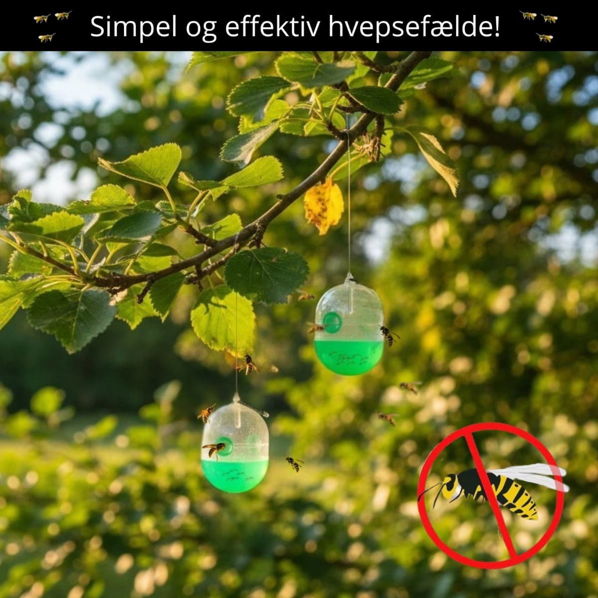 Hvepsefælde til ophæng  effektiv og giftfri løsning til haven