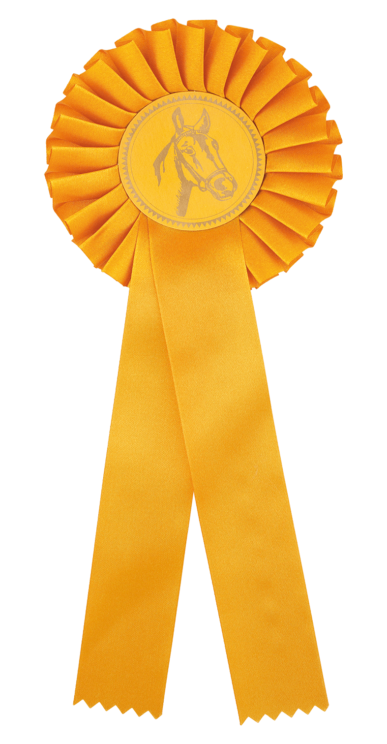 Rosette i gul