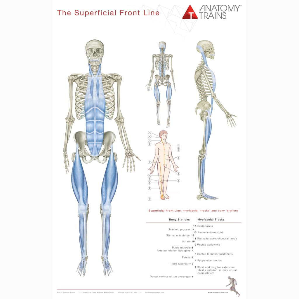 Anatomy Trains Plakater