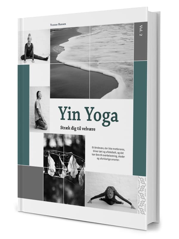 YIN YOGA  -  stræk dig til velvære vol. 2