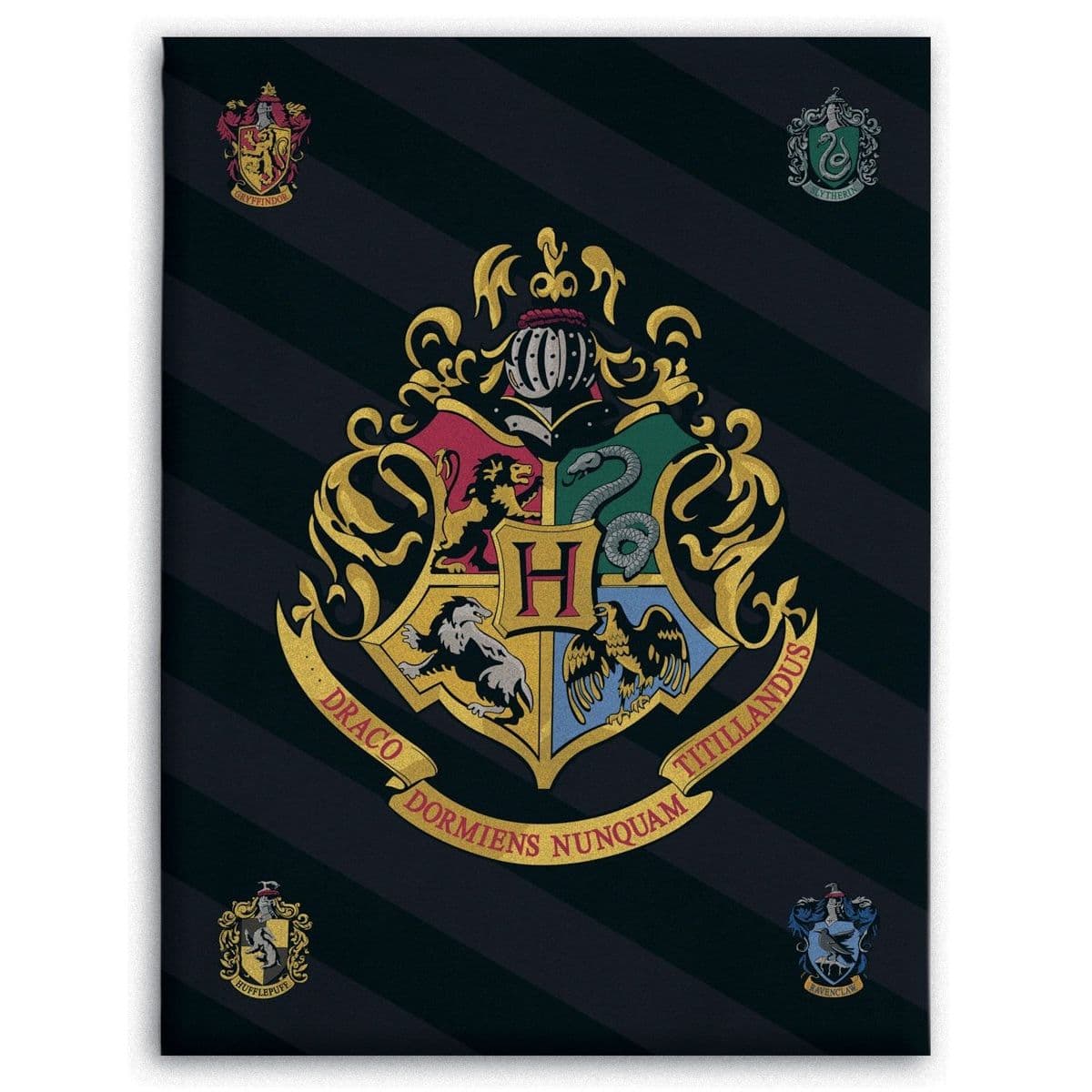 Børnetæppe - Harry Potter - 100x140 cm - Blødt og lækkert Fleece tæppe - Borg Living