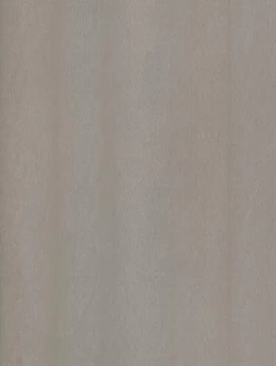 NE51 - Champagne Silver