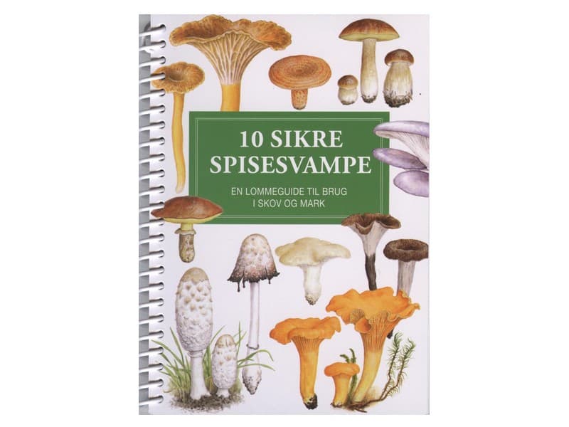 10 sikre spisesvampe - lommeguide