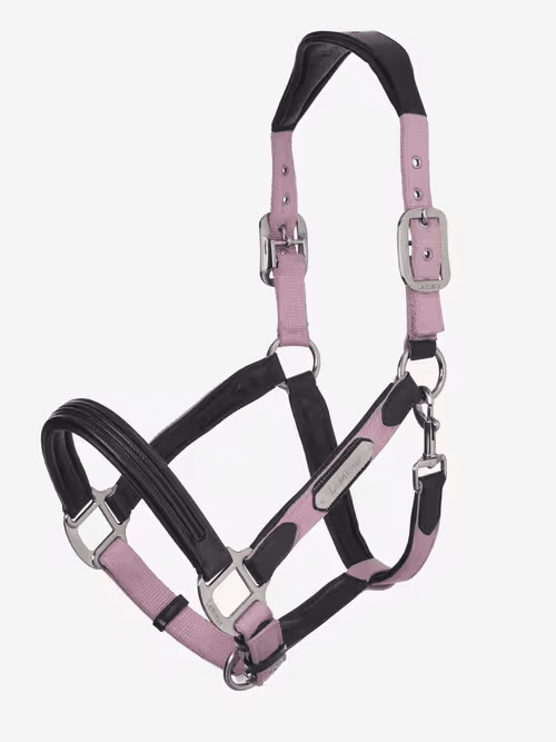 LeMieux SS26 Capella grime - Fondant - Pony