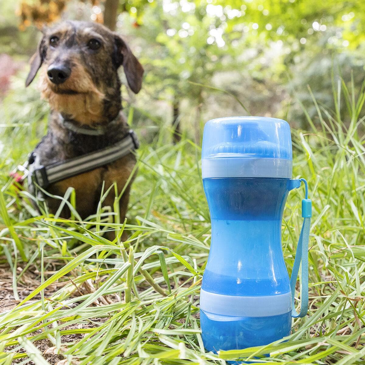 Pettap 2-i-1 drikkeflaske og madbeholder til kæledyr - blå |