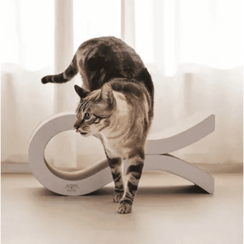 AL Marina Kradsemiljø til Katte