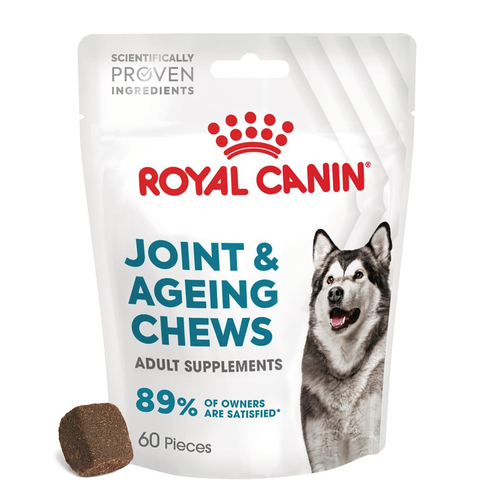 Royal Canin Joint & Ageing Adult Supplement tyggesnacks - Økonomipakke: 2 x 240 g (120 stk)