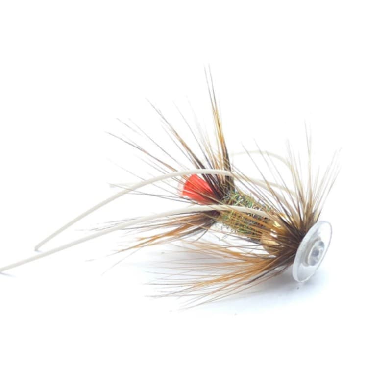 Brenda FlatHead