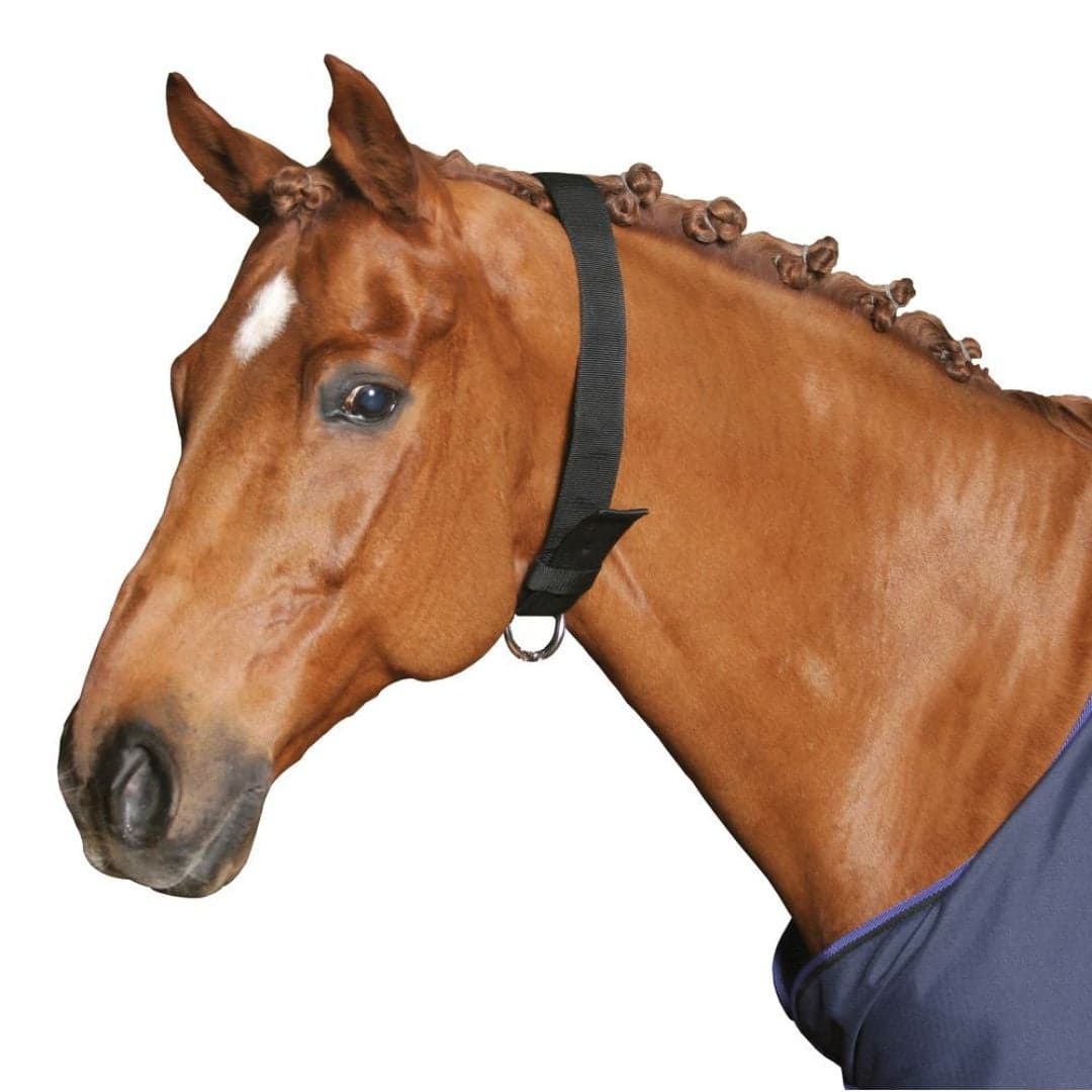 Halsrem bred 5 cm nylon