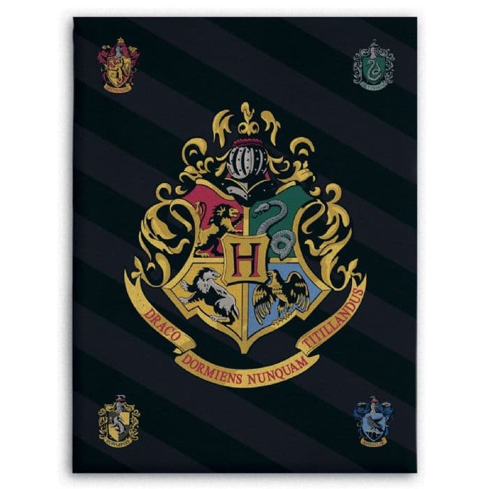 Børnetæppe - Harry Potter - 100x140 cm - Blødt og lækkert Fleece tæppe - Borg Living